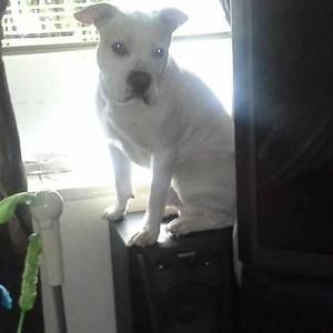 Meet your Posher, Gilberto